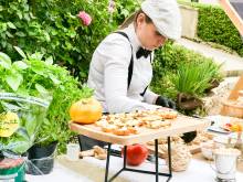 Notre zone d'activité pour ce service Traiteur événementiel pour buffet chaud ou froid à Toulon dans le Var